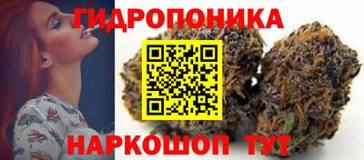 крисы Ростов-на-Дону