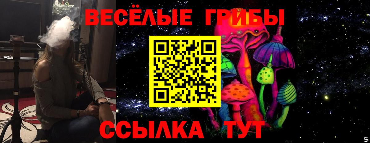 Егорьевск  Галлюциногенные грибы Cubensis  Вход с VPN 